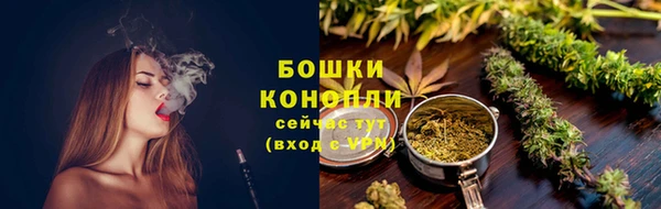 индика Богородицк